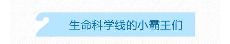 1561082447893641.jpg 高博會_08.jpg